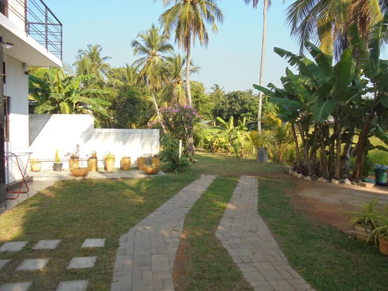 Jmf Hotel Negombo Sri Lanka